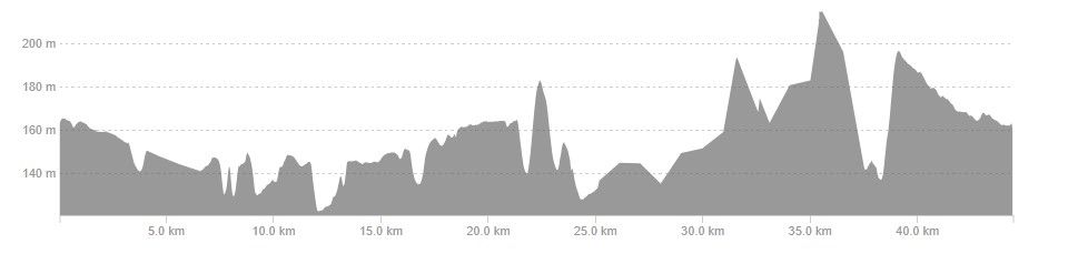 Ruta 11A