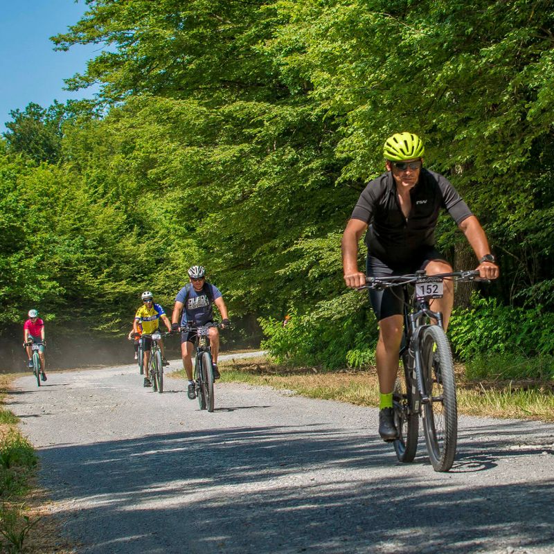 Ruta 10A