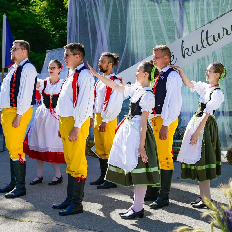 Dan sporta i Češke kulture 2026.