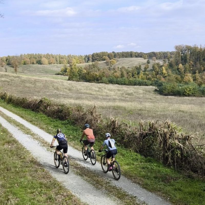 Ruta 10