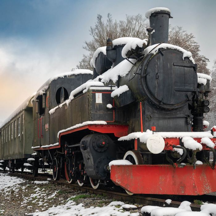 Advent na Južnoj Bilogori - Lovrakov centar, Veliki Grđevac