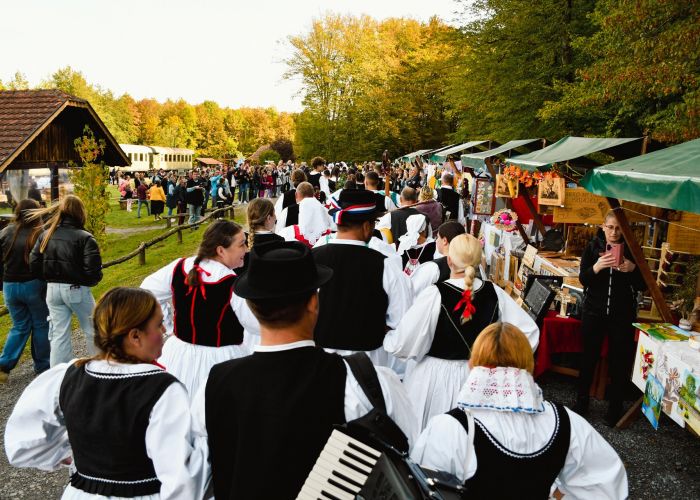 7. Velikogrđevačka komušana