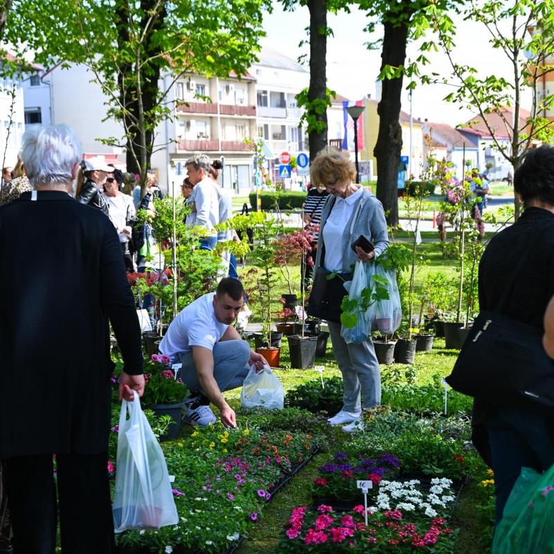 Sajam sadnica i cvijeća u Grubišnom Polju – Proljetni doživljaj za sve generacije