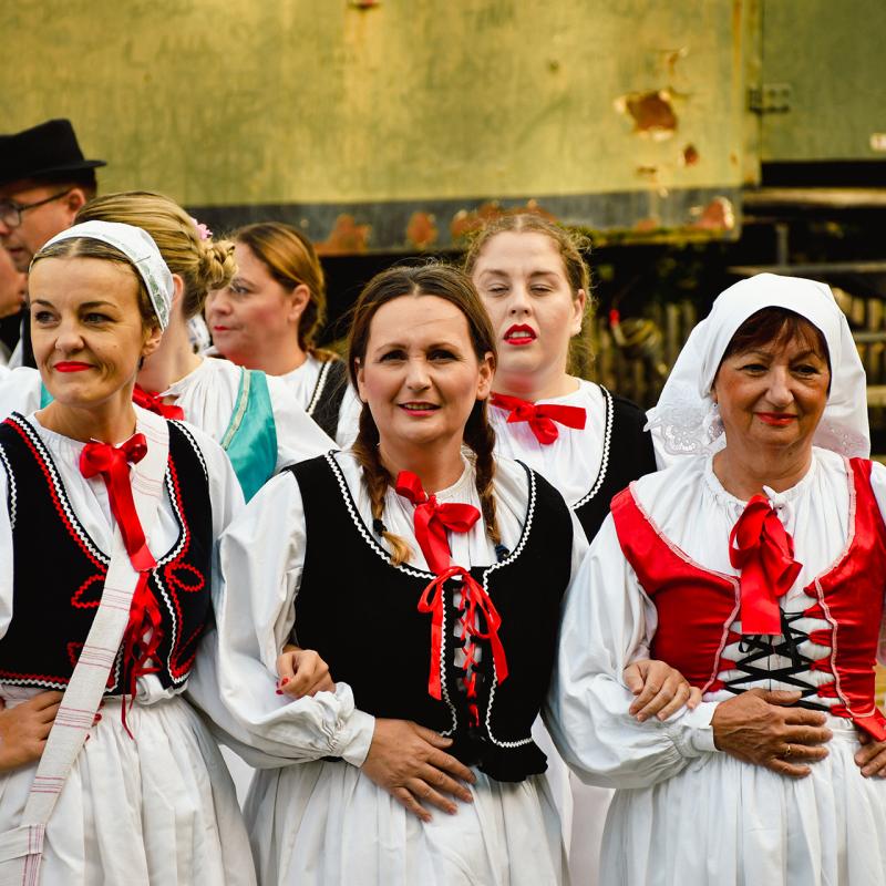 7. Velikogrđevačka komušana