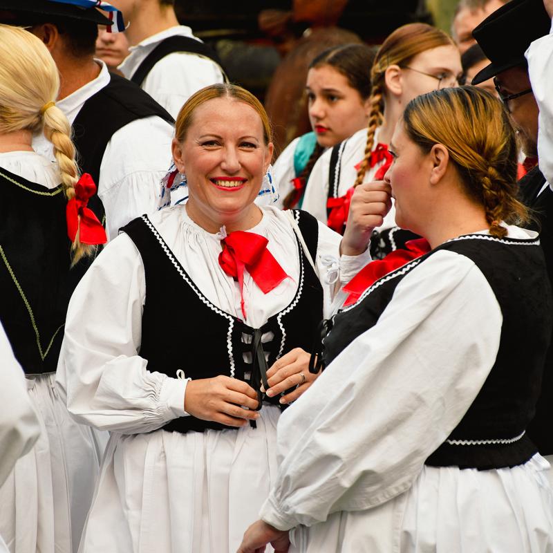 7. Velikogrđevačka komušana