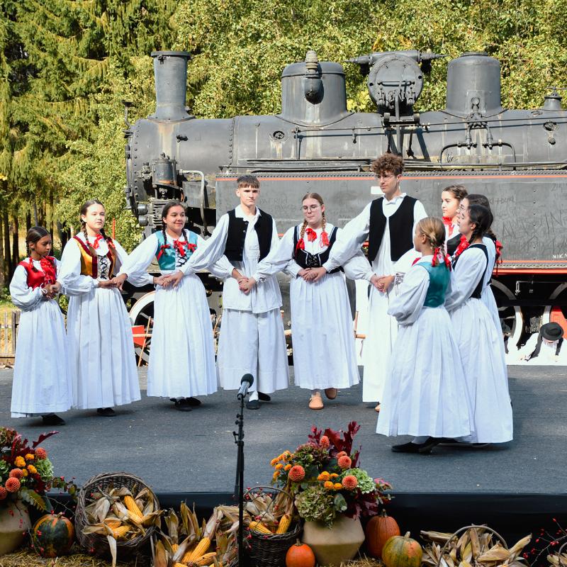 7. Velikogrđevačka komušana