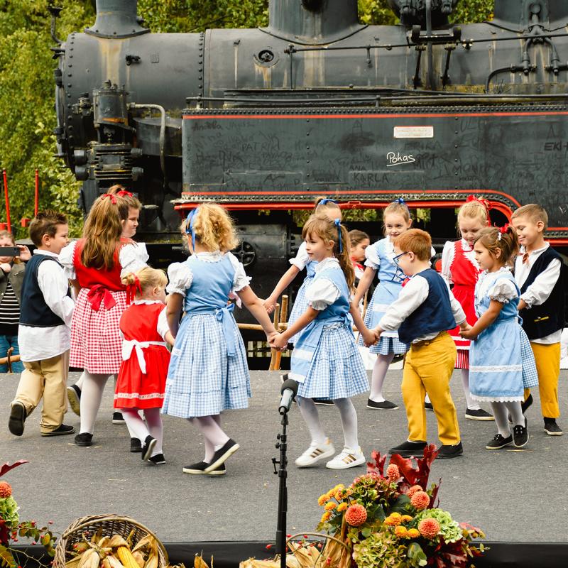 7. Velikogrđevačka komušana