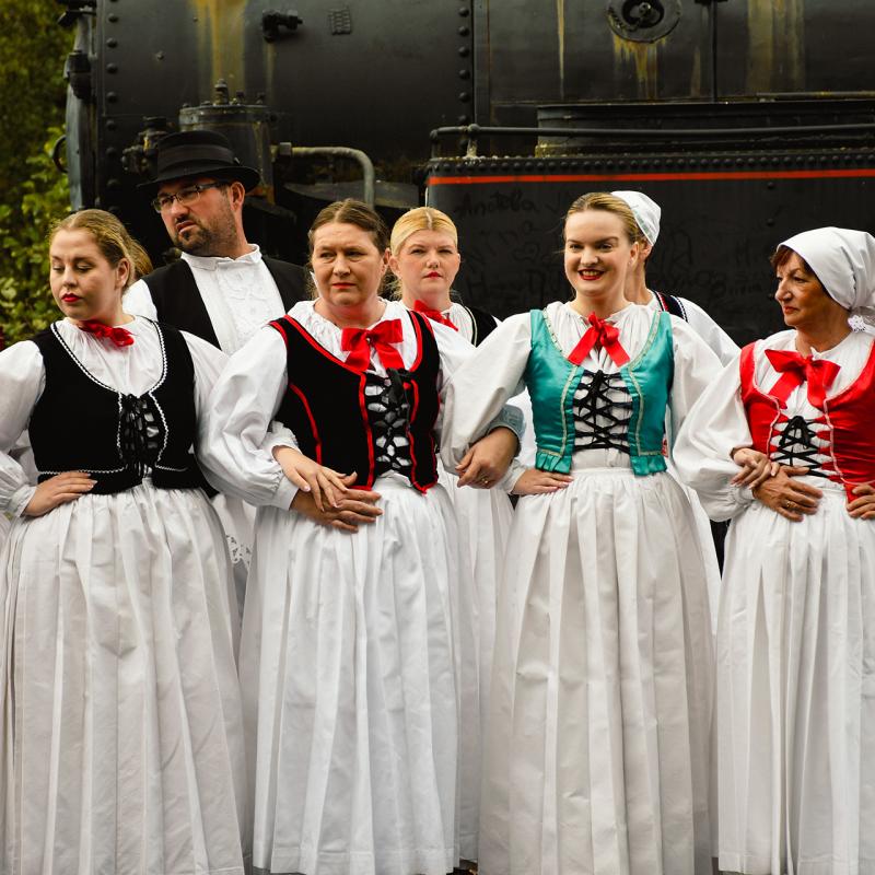 7. Velikogrđevačka komušana