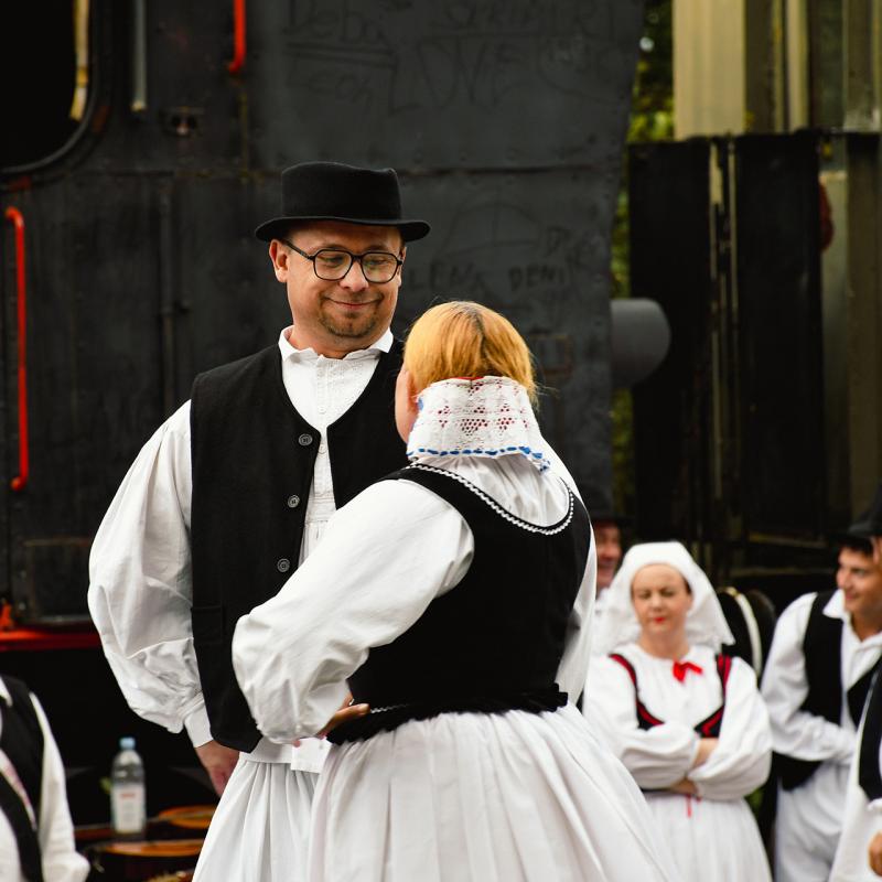 7. Velikogrđevačka komušana