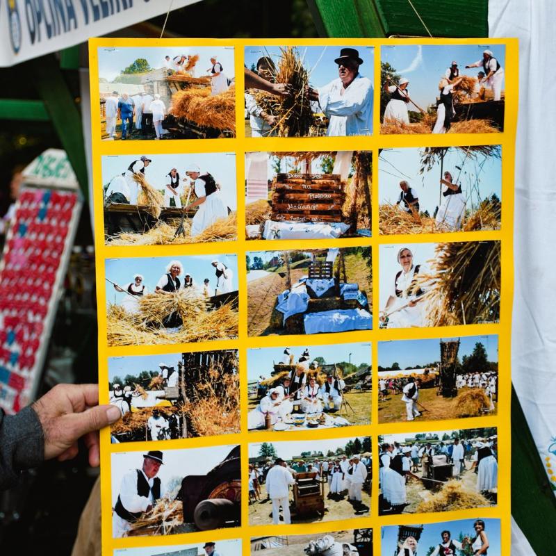 7. Velikogrđevačka komušana