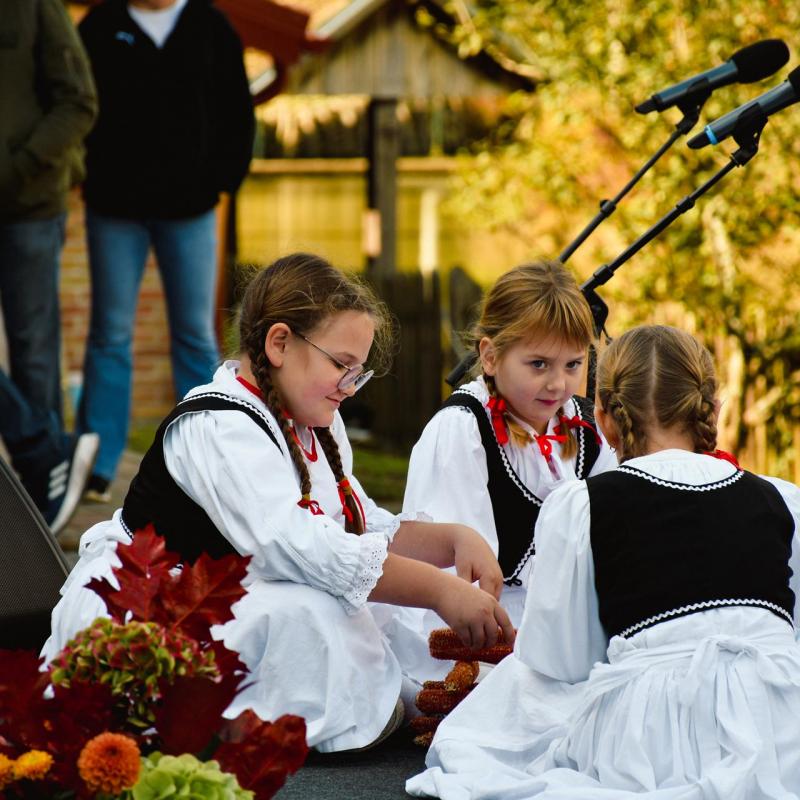 7. Velikogrđevačka komušana