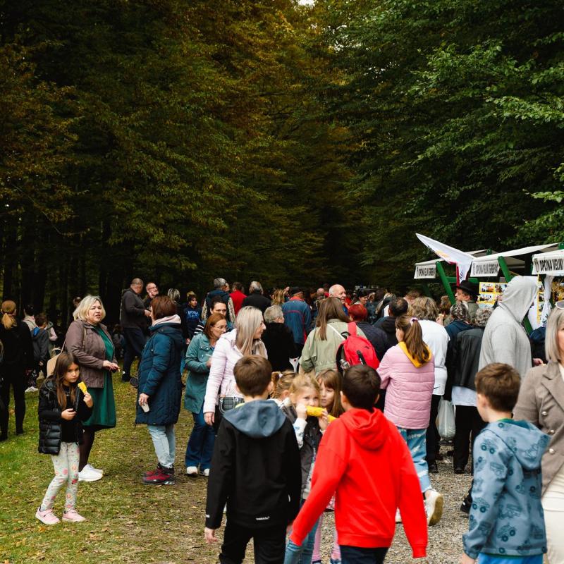 7. Velikogrđevačka komušana