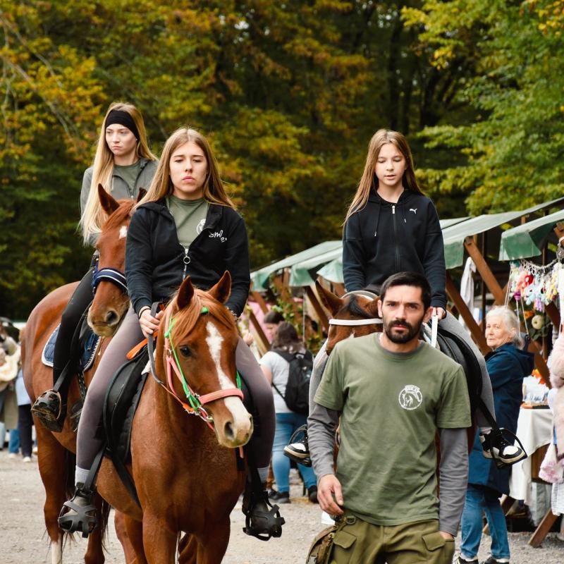7. Velikogrđevačka komušana