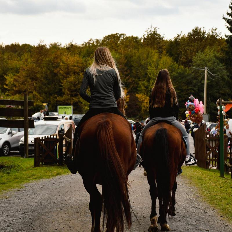 7. Velikogrđevačka komušana