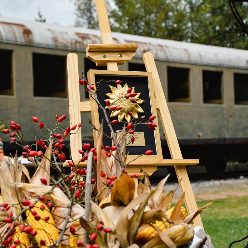 7. Velikogrđevačka komušana