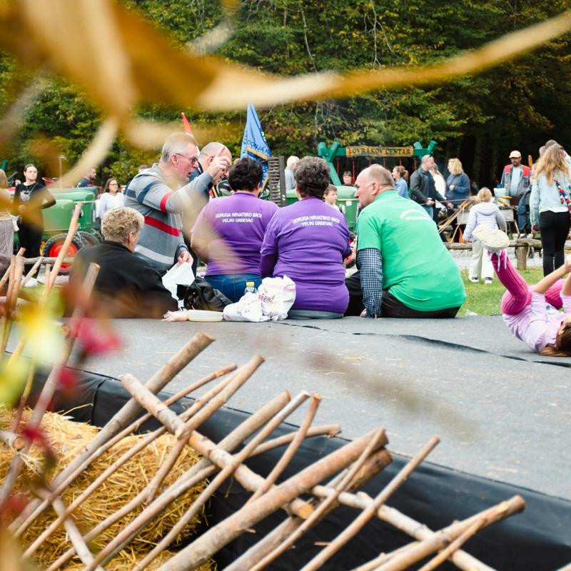 7. Velikogrđevačka komušana