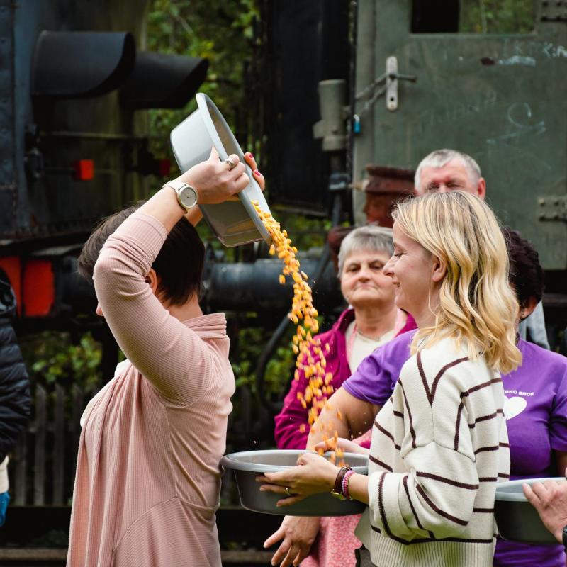 7. Velikogrđevačka komušana