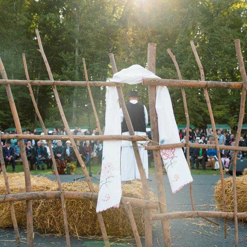 7. Velikogrđevačka komušana