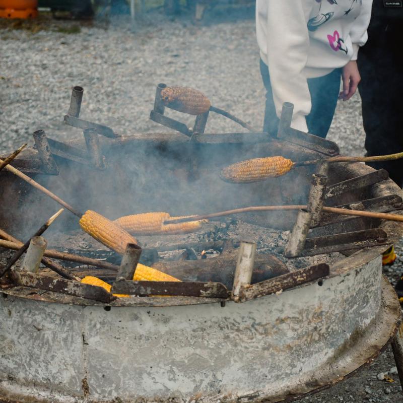 7. Velikogrđevačka komušana