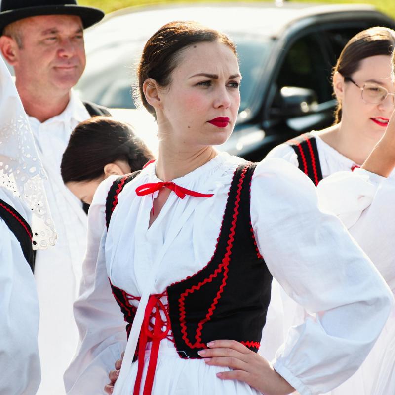 7. Velikogrđevačka komušana