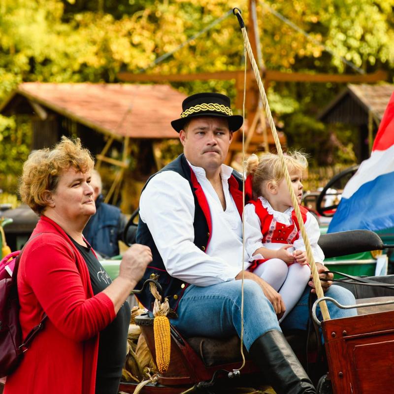 7. Velikogrđevačka komušana