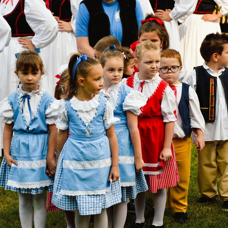 7. Velikogrđevačka komušana