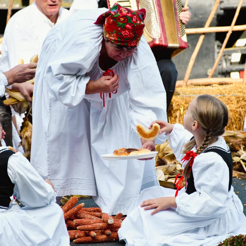 7. Velikogrđevačka komušana