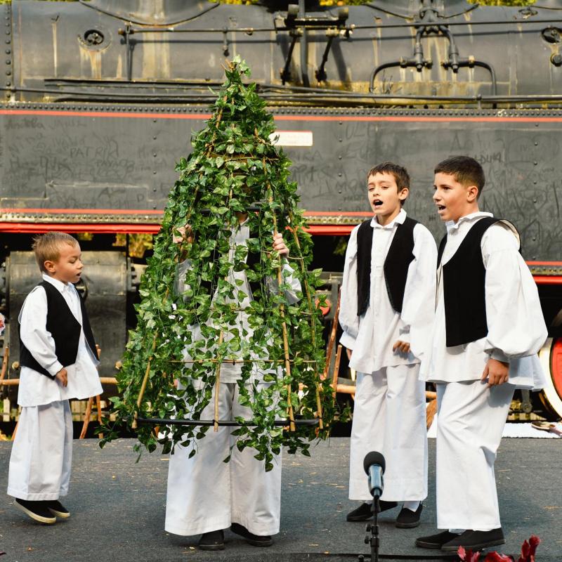 7. Velikogrđevačka komušana