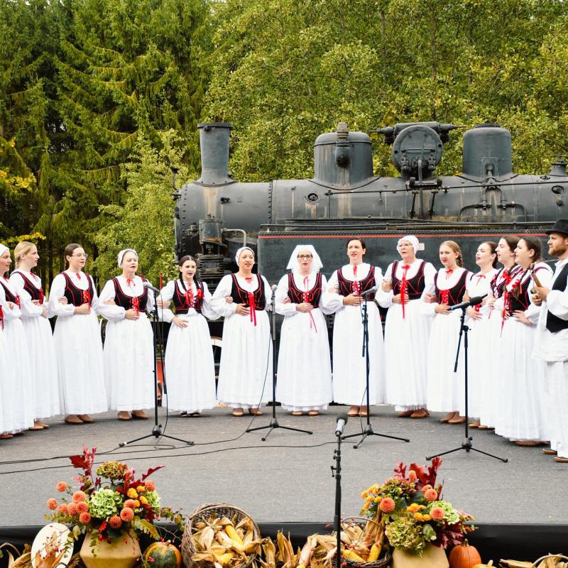 7. Velikogrđevačka komušana