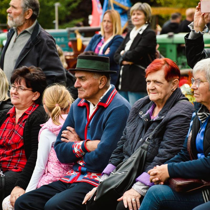 7. Velikogrđevačka komušana