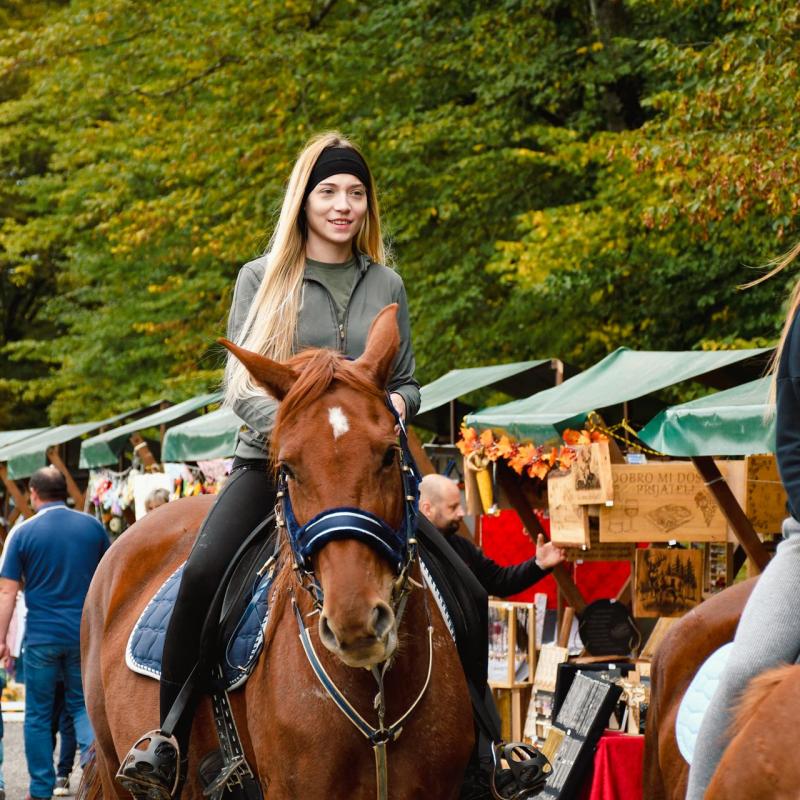 7. Velikogrđevačka komušana