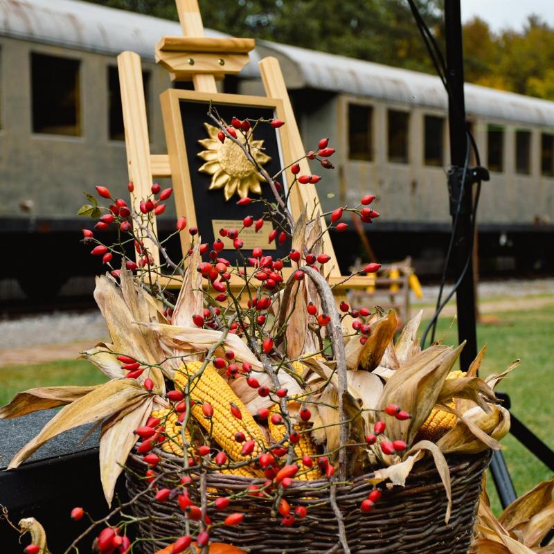 7. Velikogrđevačka komušana