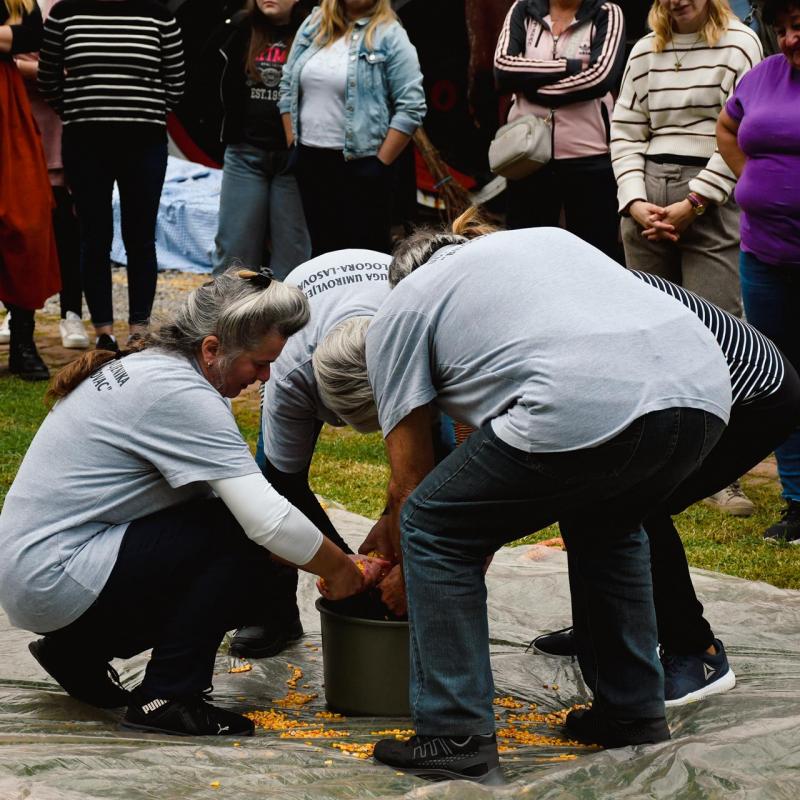 7. Velikogrđevačka komušana