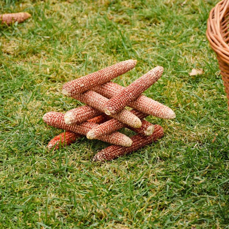 7. Velikogrđevačka komušana