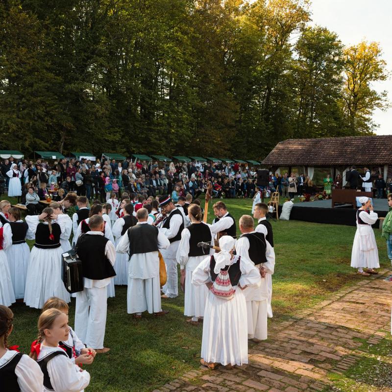 7. Velikogrđevačka komušana