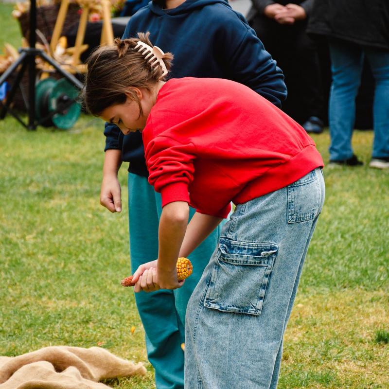 7. Velikogrđevačka komušana