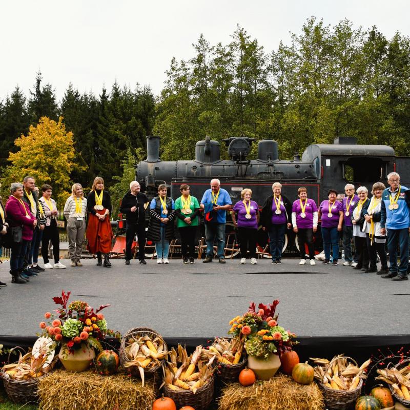 7. Velikogrđevačka komušana