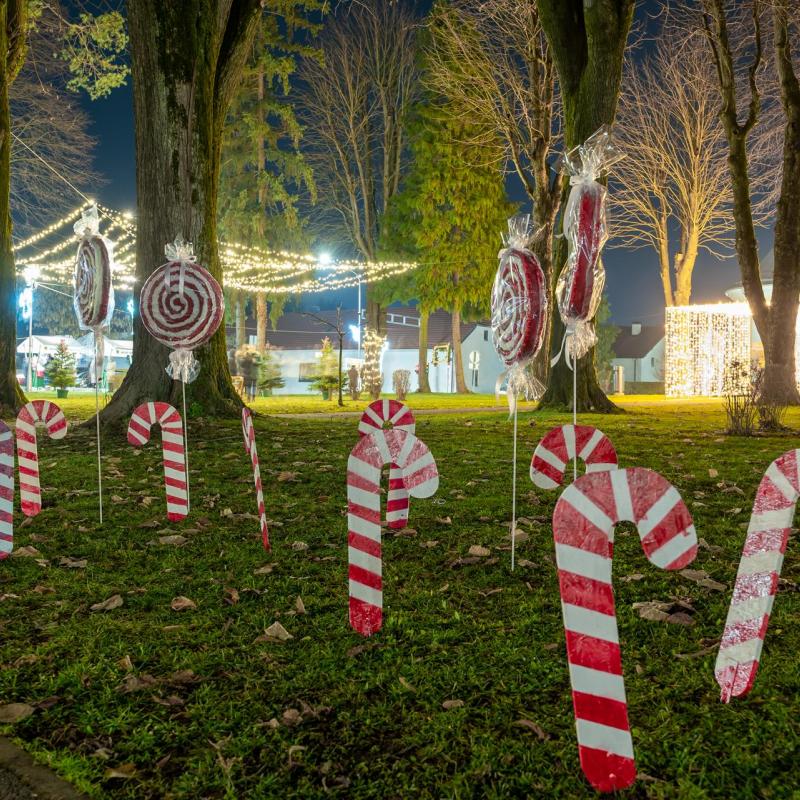 Advent 2025. na Južnoj Bilogori - Grubišno Polje