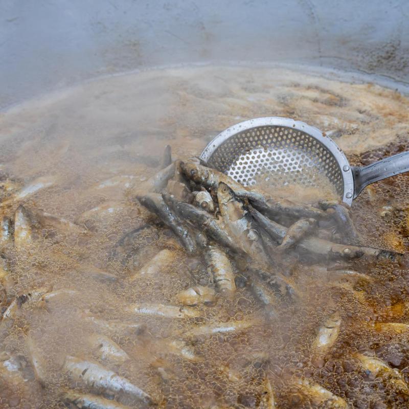 Potraga za pisanicama - Grubišno Polje 2.4.2026.