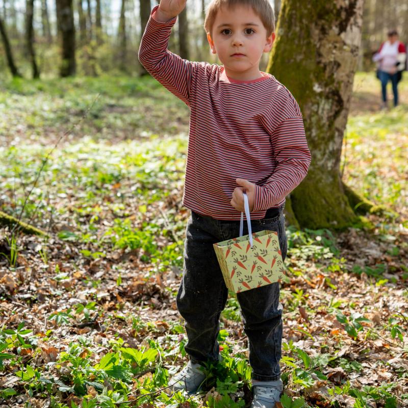 Potraga za pisanicama - Lovrakov centar 4.4.2026.