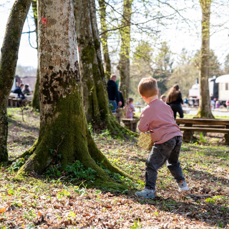 Potraga za pisanicama - Lovrakov centar 4.4.2026.