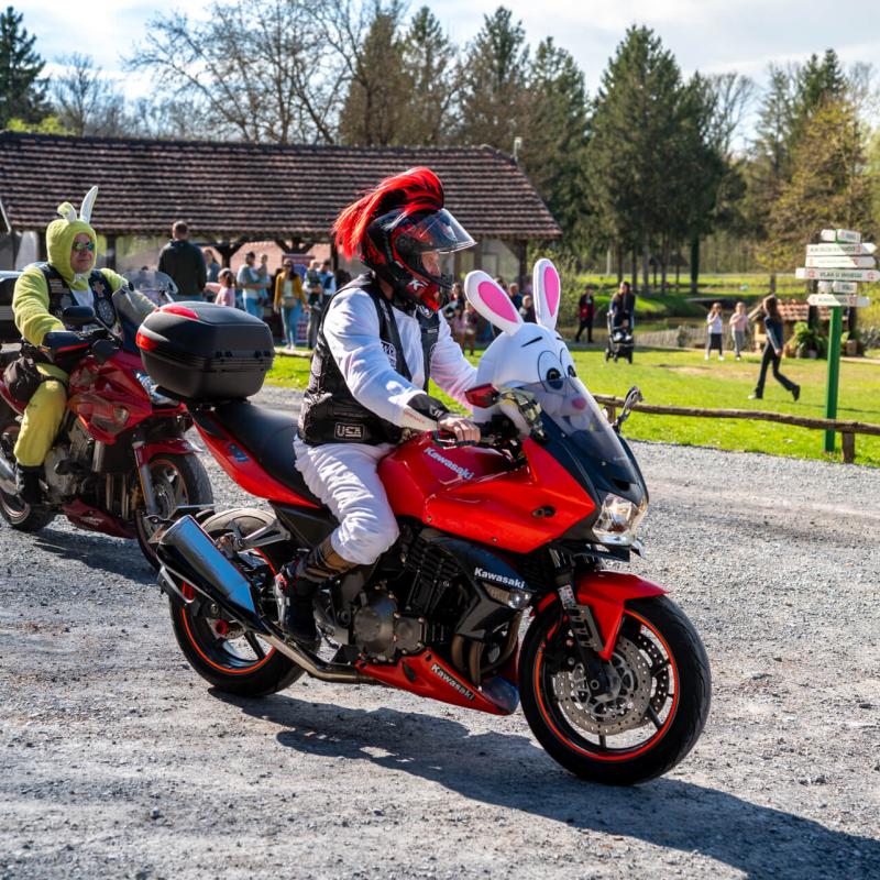 Potraga za pisanicama - Lovrakov centar 4.4.2026.