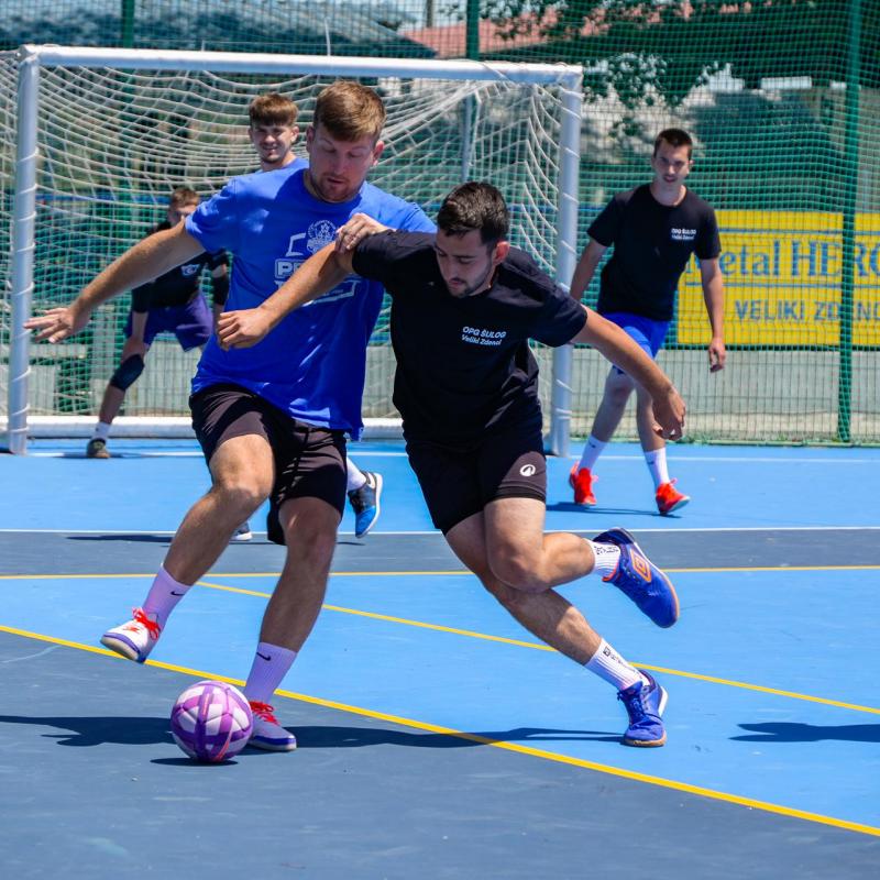 Dan sporta i Češke kulture 2026.