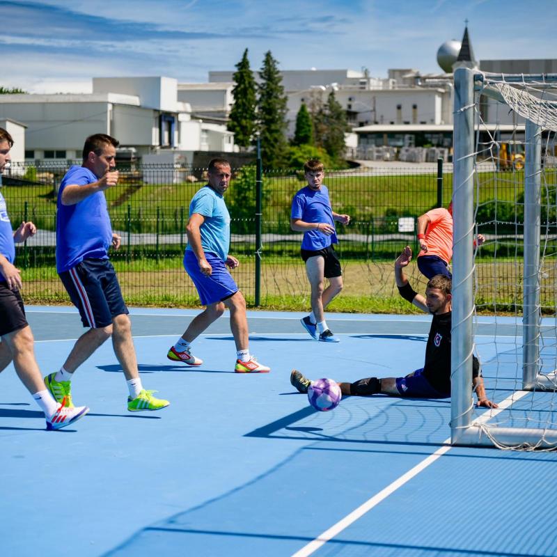 Dan sporta i Češke kulture 2026.
