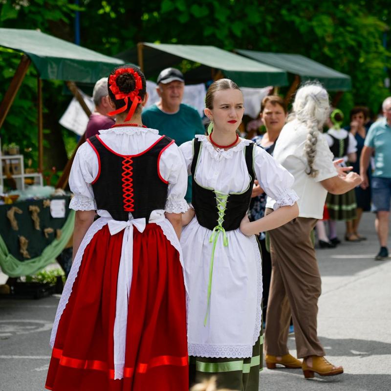 Dan sporta i Češke kulture 2026.