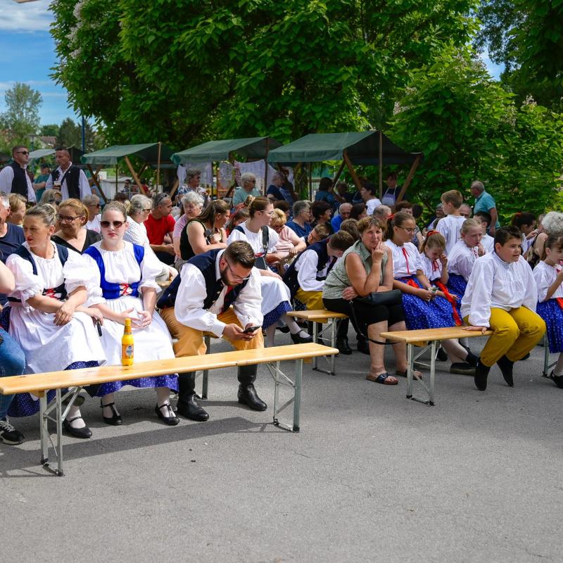 Dan sporta i Češke kulture 2026.