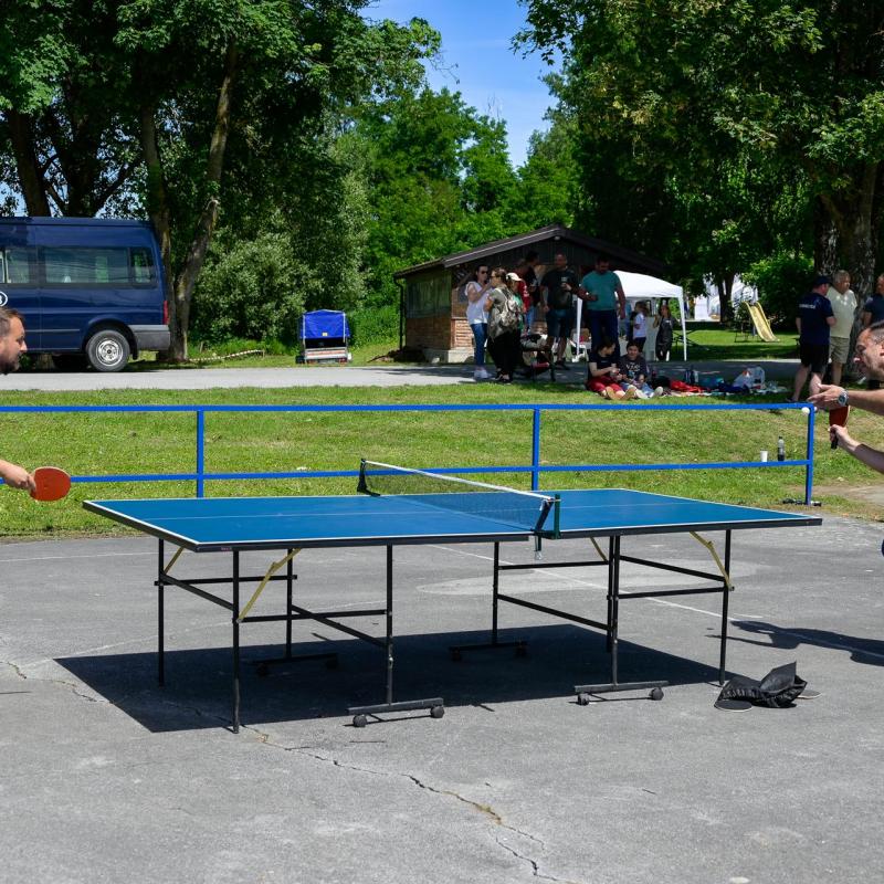 Dan sporta i Češke kulture 2026.