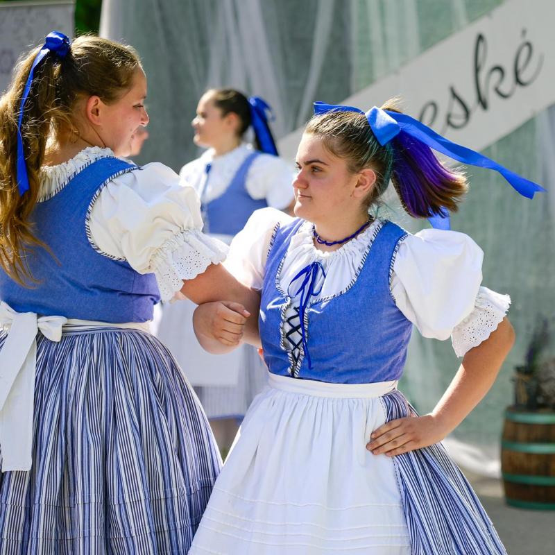 Dan sporta i Češke kulture 2026.