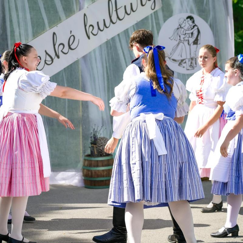 Dan sporta i Češke kulture 2026.