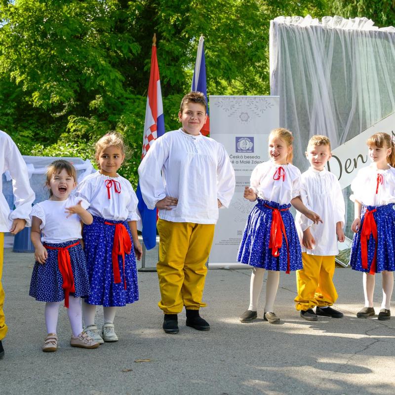 Dan sporta i Češke kulture 2026.